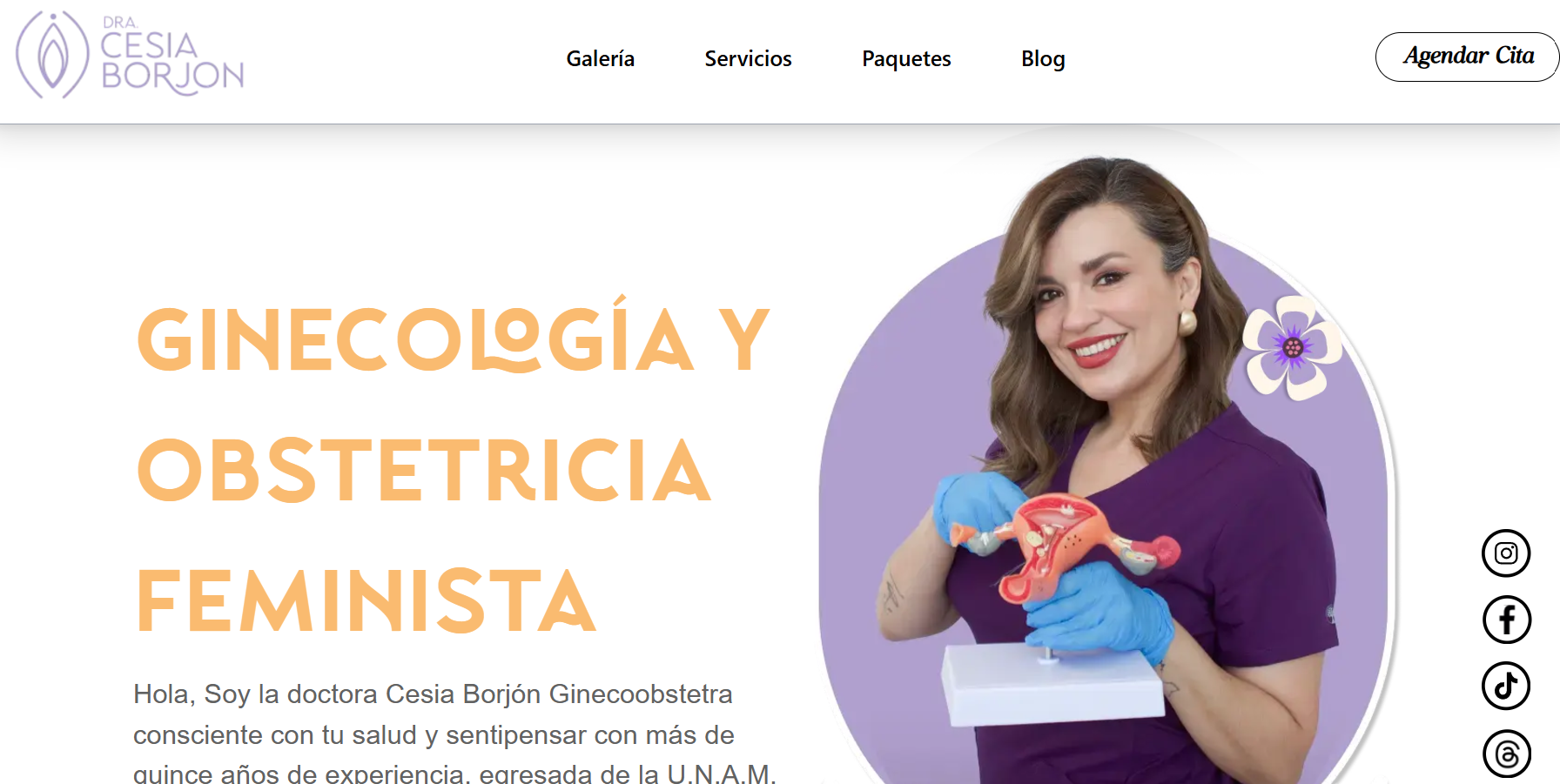 Captura de pantalla del proyecto Cesia Borjon